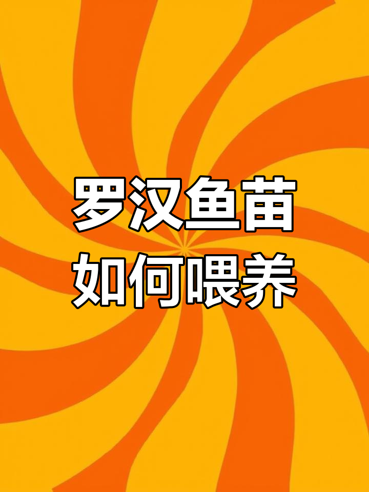 罗汉鱼苗起头第五天,喂食技巧大揭秘