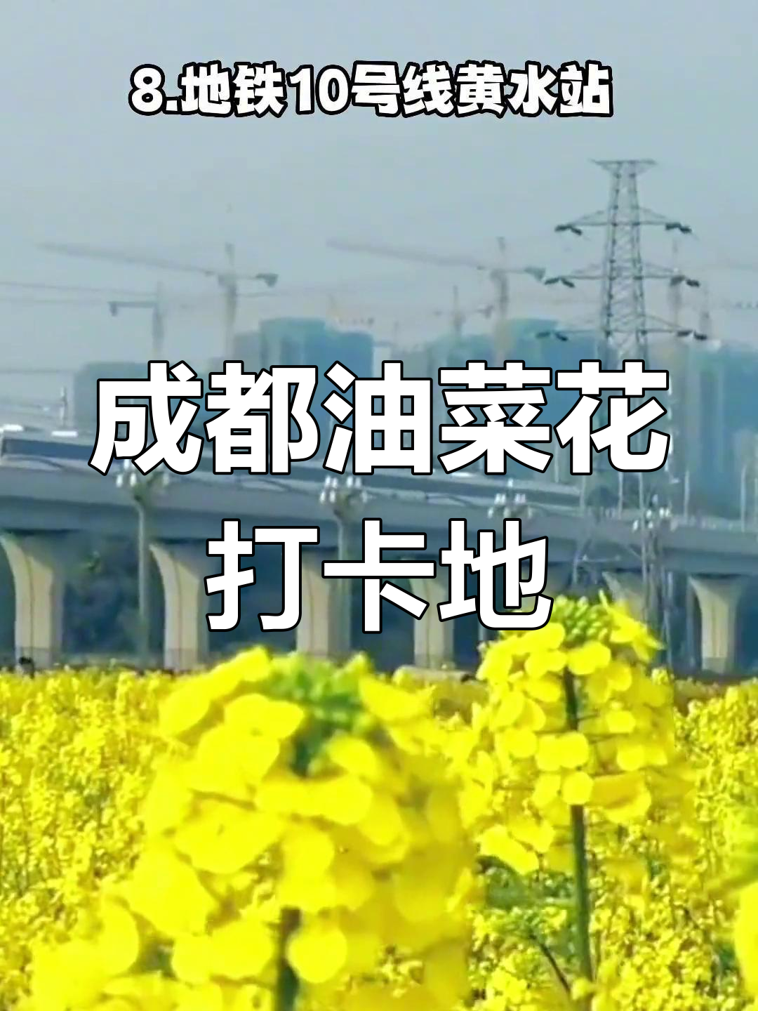 成都周边油菜花打卡地推荐,春日赏花指南