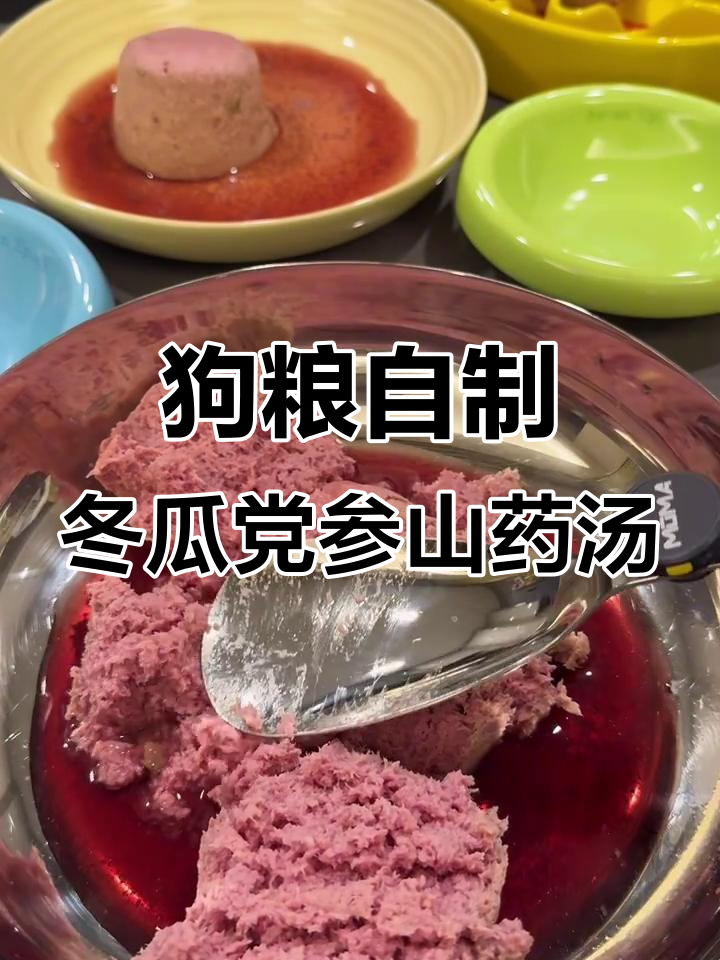 狗狗的低温慢煮鹅肉汤拌饭,香气扑鼻让小狗沉醉