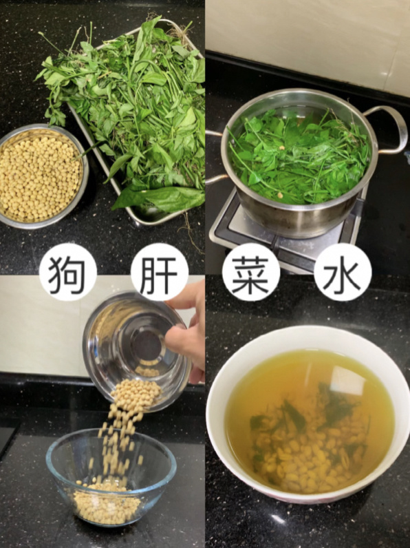 广东夏天必备,狗肝菜煲黄豆,清热解毒利湿
