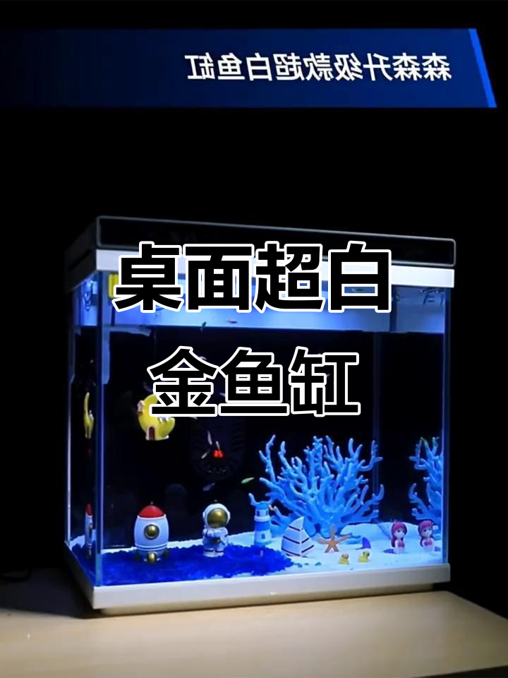 超白玻璃小鱼缸,免安装设计让养鱼更简单