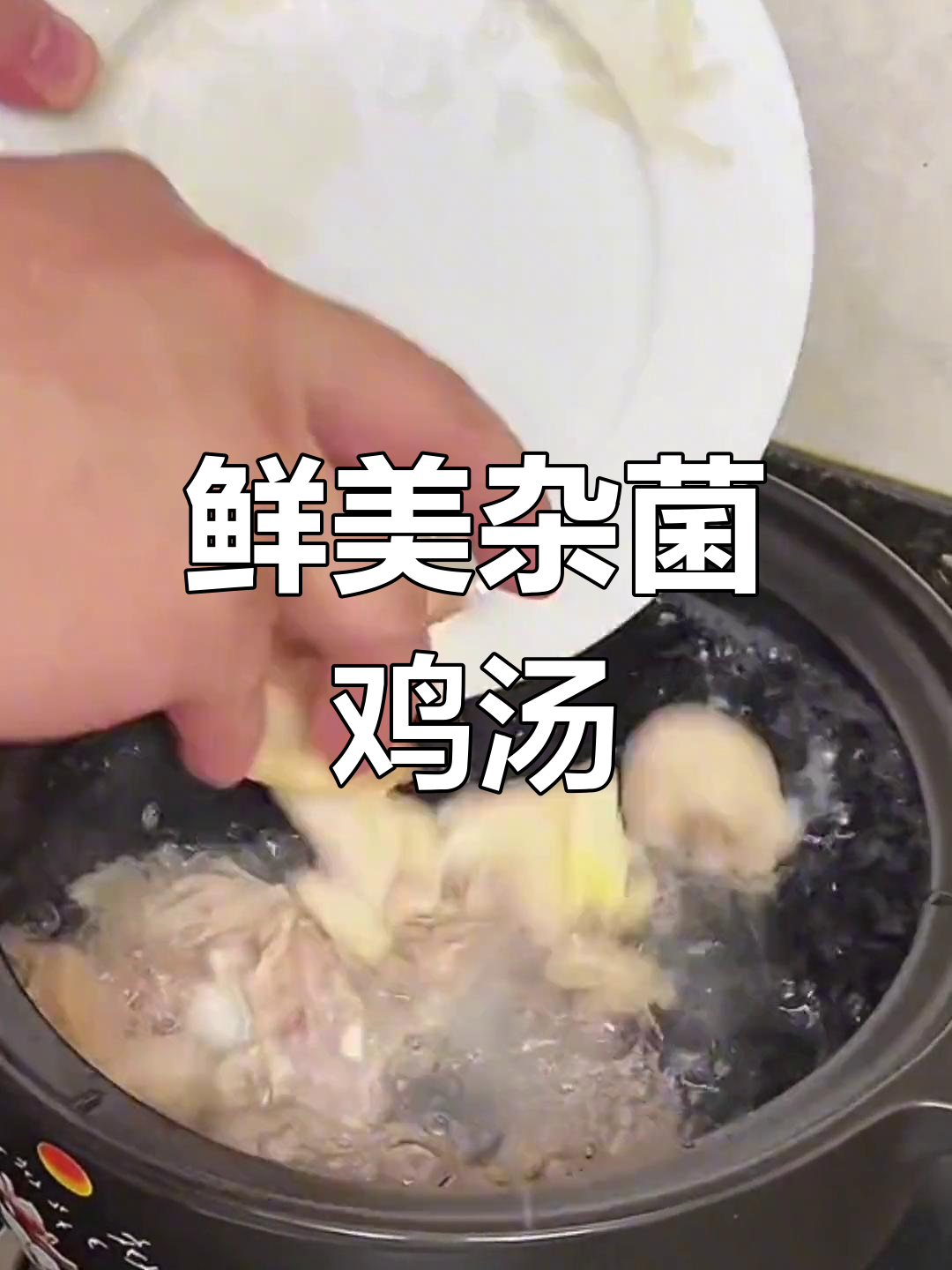 营养丰富的杂菌鸡汤,简单又美味
