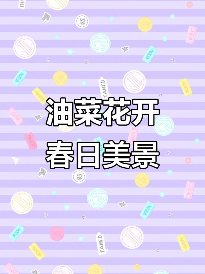 河北廊坊油菜花海,春日里的金色浪漫与宁静