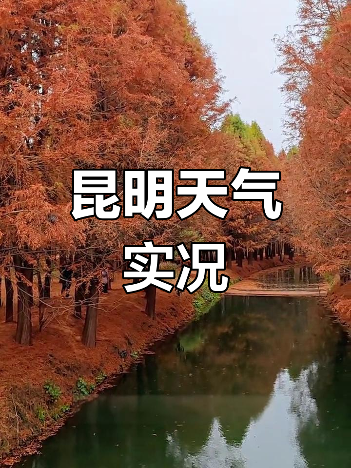 昆明捞渔河湿地公园除夕天气预报,初四开始升温