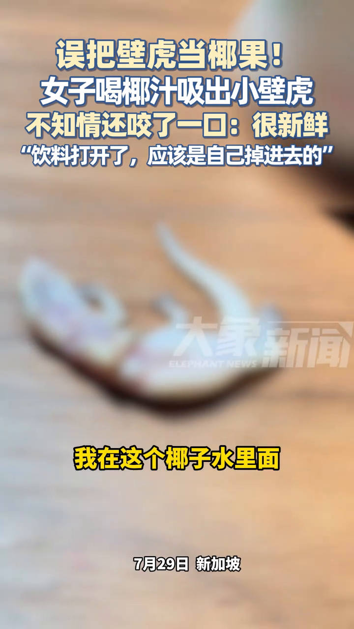误把壁虎当椰果!新加坡女子喝椰汁吸出壁虎,不知情吸入咬了一口