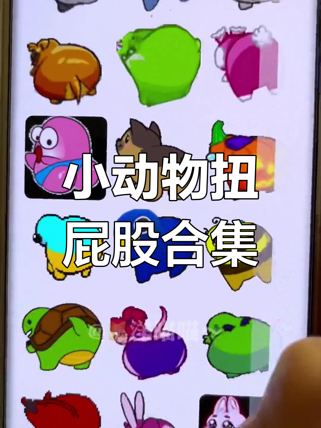 快来瞧!超萌小动物扭屁股表情包,绝对让你忍俊不禁!