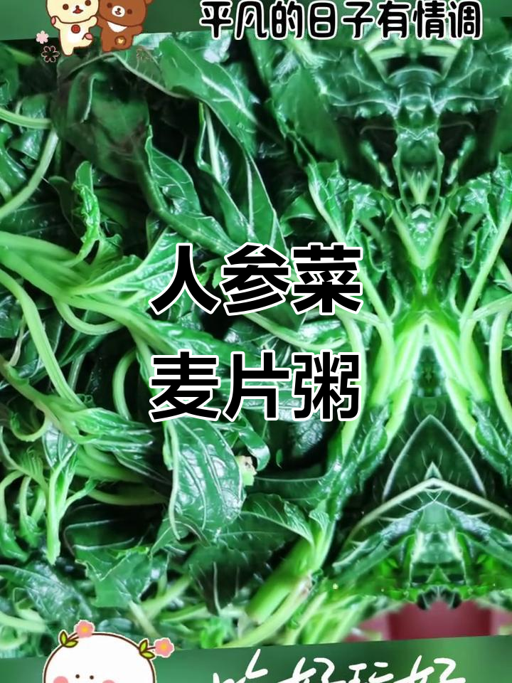晚餐凉拌人参菜,搭配麦片粥营养满满