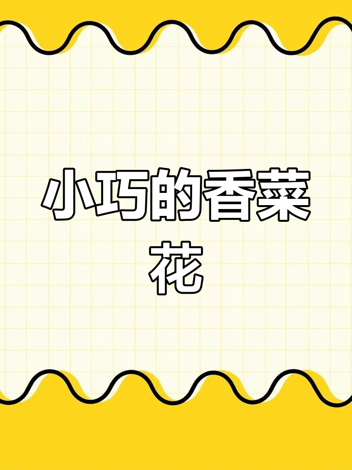 见过香菜开花吗?这花超小,动一下就模糊了