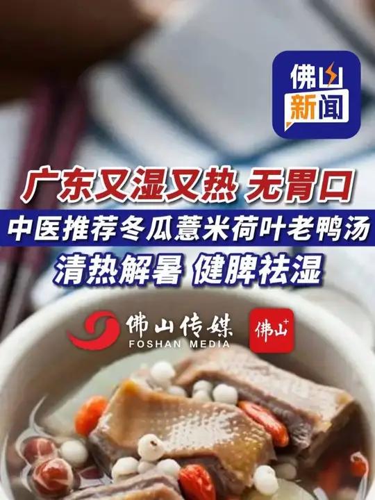 广东又湿又热,无胃口?中医推荐冬瓜薏米荷叶老鸭汤!清热解暑,健脾祛湿(实习编辑:梁思琦;责
