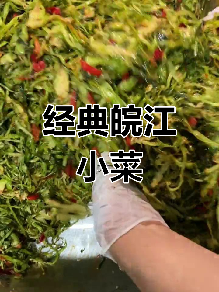 安徽芜湖特产荻港香菜,开胃又下饭