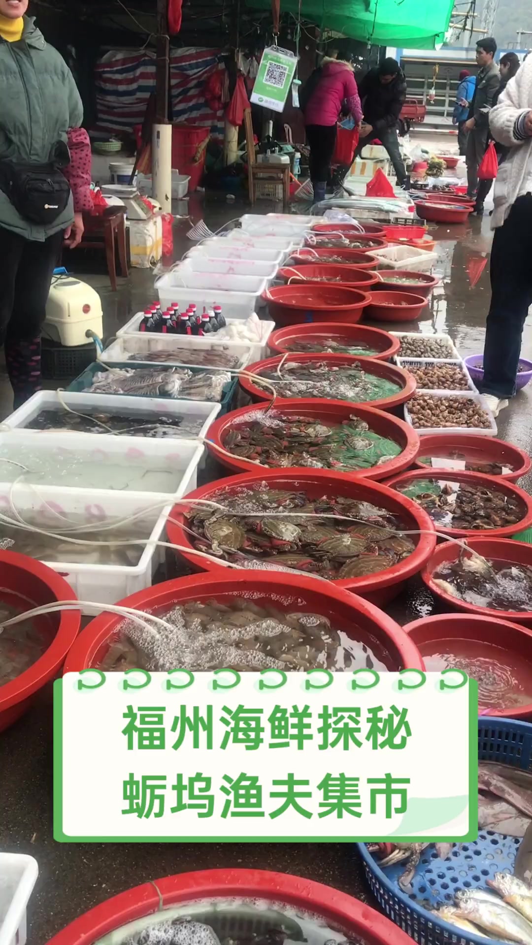 福州海鲜探秘,蛎坞渔夫集市
