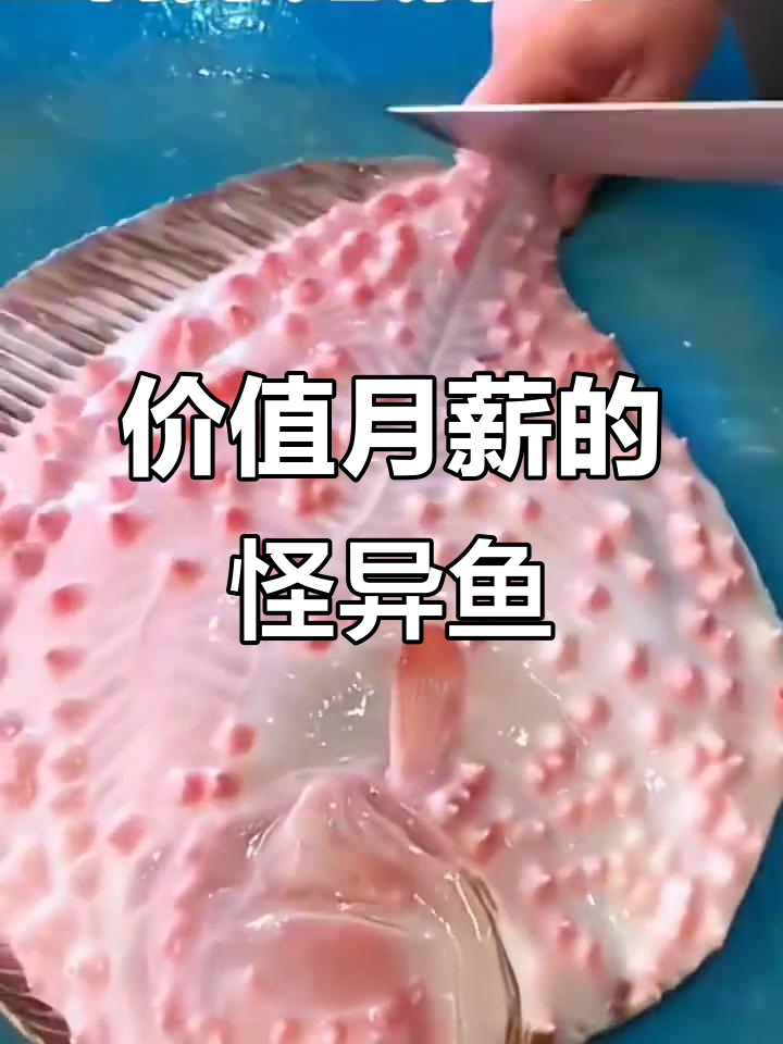 满身疙瘩的鱼,竟然值一个月工资!