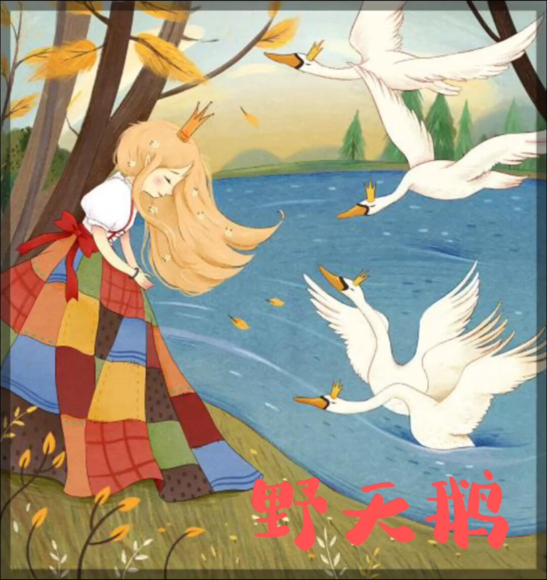给小朋友讲故事 野天鹅(1)