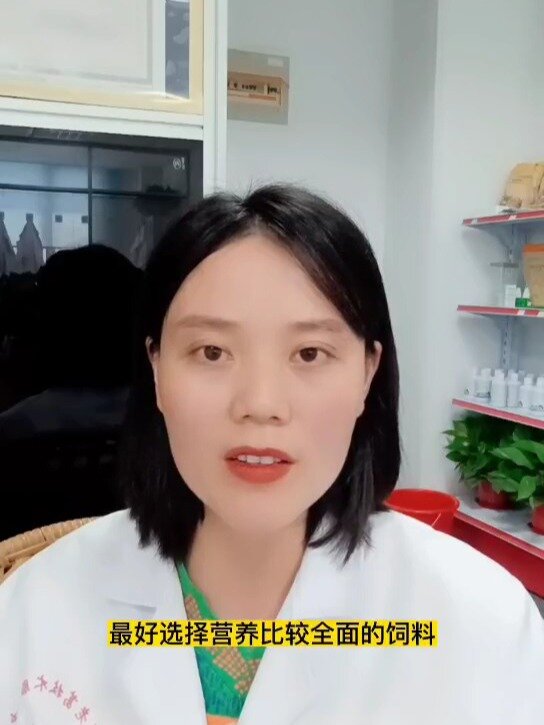 禽医恒艳讲小鸡出壳需要喂什么开口药