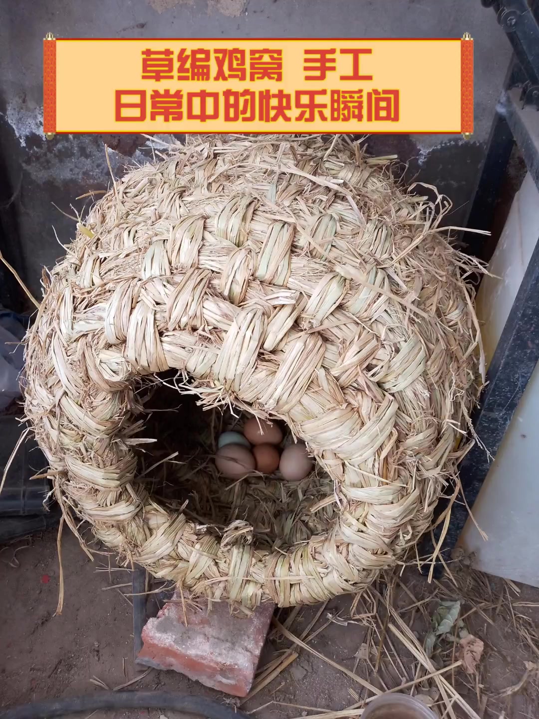 草编鸡窝,手工日常中的快乐瞬间