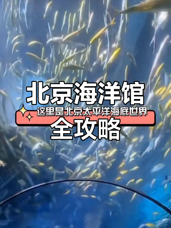 北京海底世界:探秘水母宫殿与美人鱼表演
