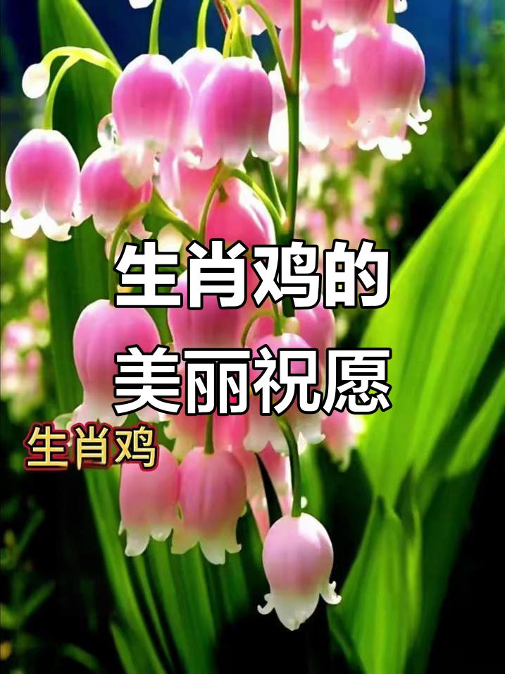 鸡年大吉,鸟语花香带来人间仙境的美好祝福