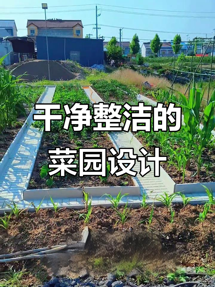 菜沟板打造整洁小菜园,防滑耐用又美观