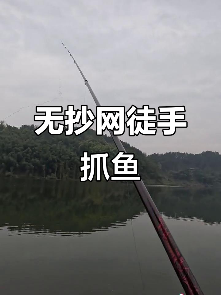 徒手抓鱼技巧大揭秘,轻松应对长条形鱼类