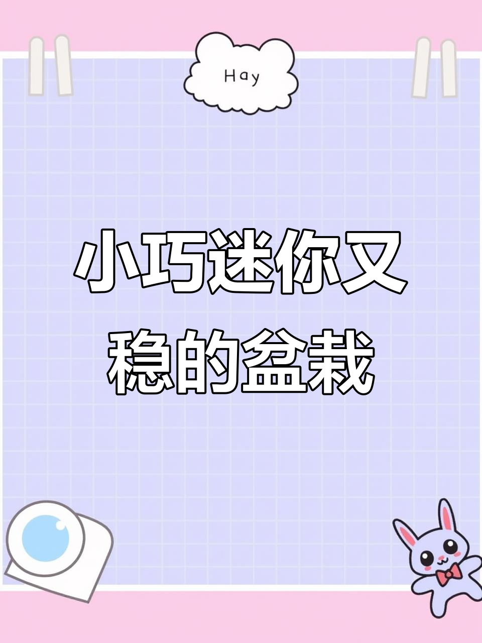 迷你小盆栽钩织教程,轻松打造稳固桌面植物