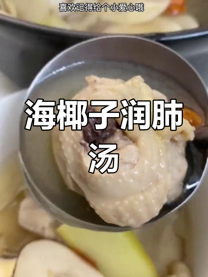夏季清燥润肺海椰子汤