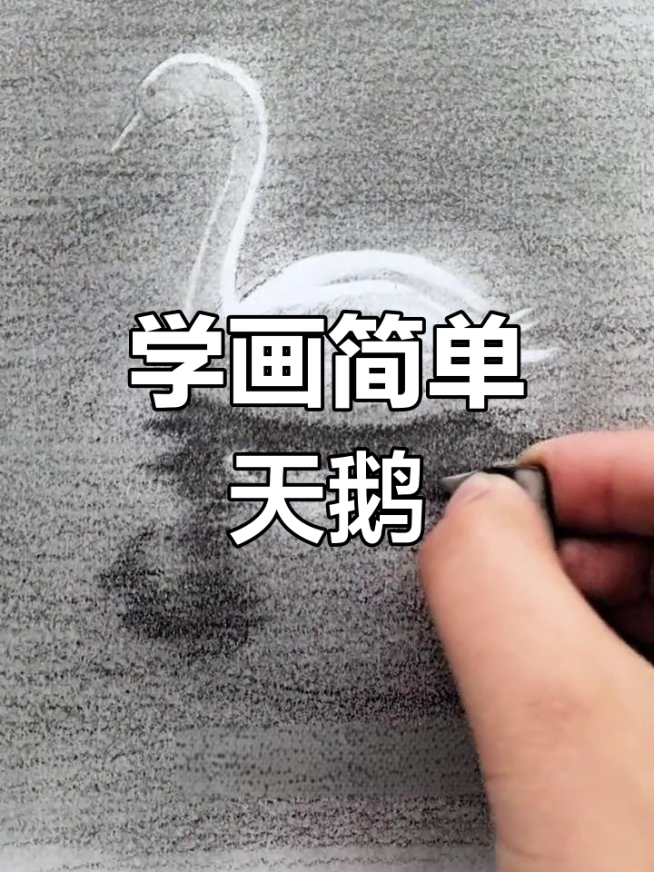 素描天鹅绘制技巧,轻松掌握