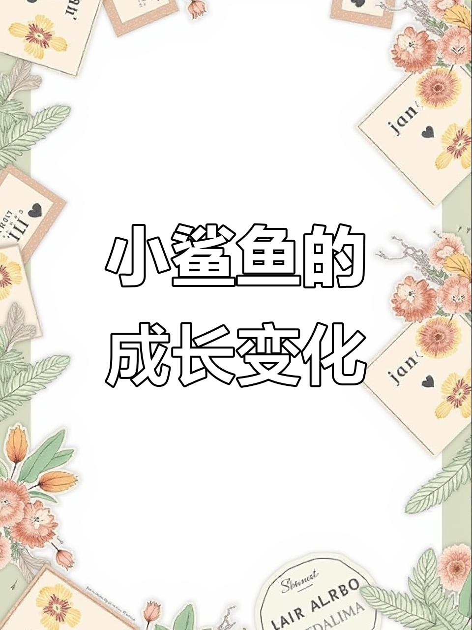 小鲨鱼宝宝逐渐长大,眼睛里透露出凶狠气息