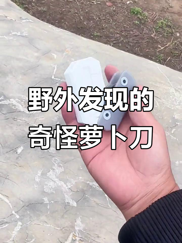 铁塔下发现神秘萝卜刀,竟然和野菜合在一起!