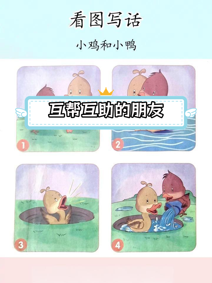 小鸡小鸭的友谊冒险