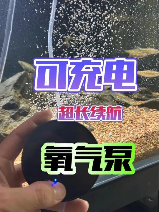 可充电,超长续航氧气泵,颜值性能都非常ik,钓鱼野采,养鱼必备!