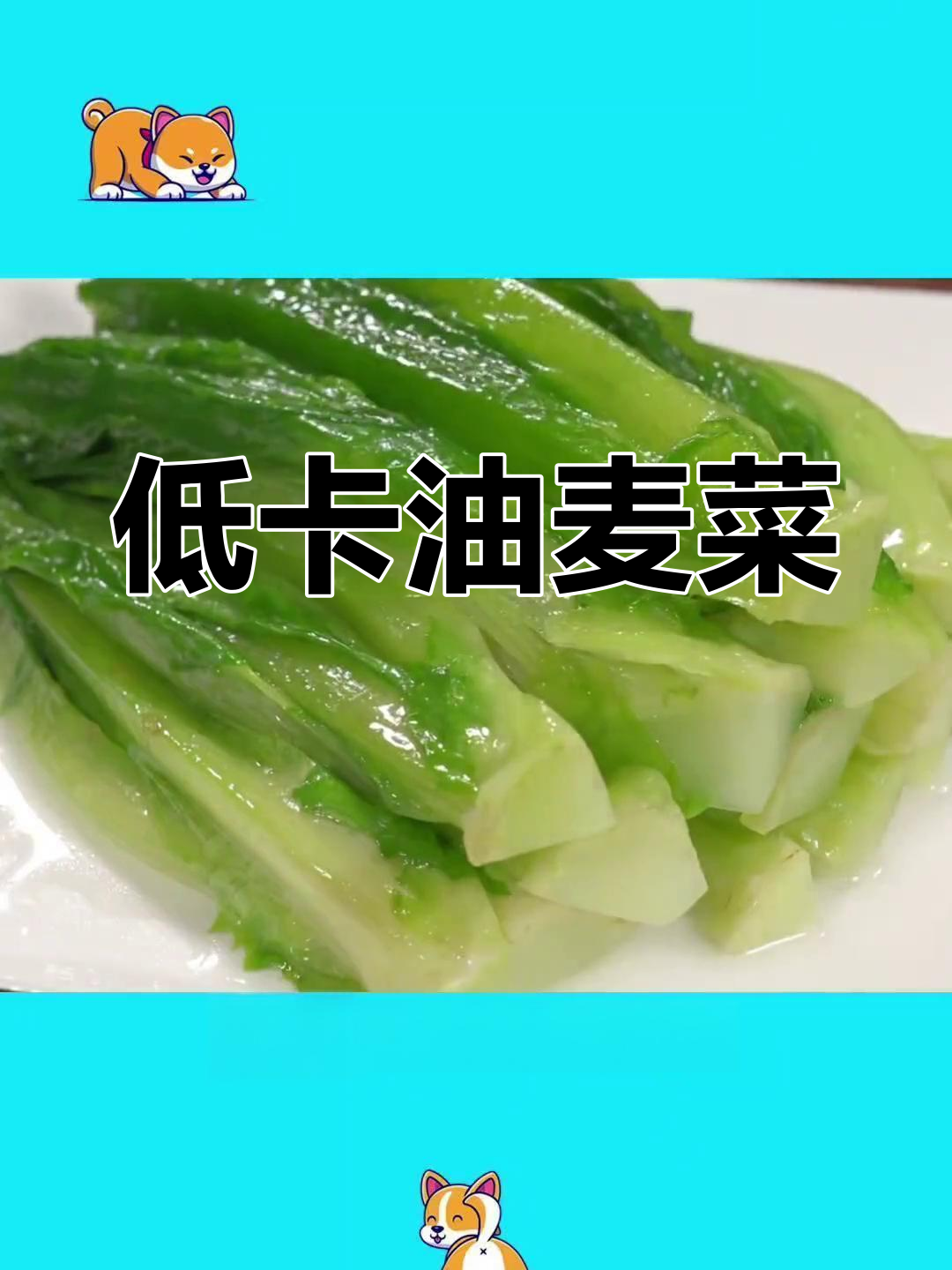 油麦菜:低热量高营养的减肥神器