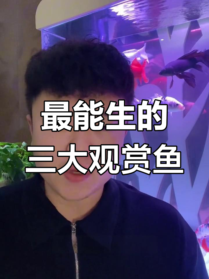这三种观赏鱼最能生,养着就能体验繁殖乐趣