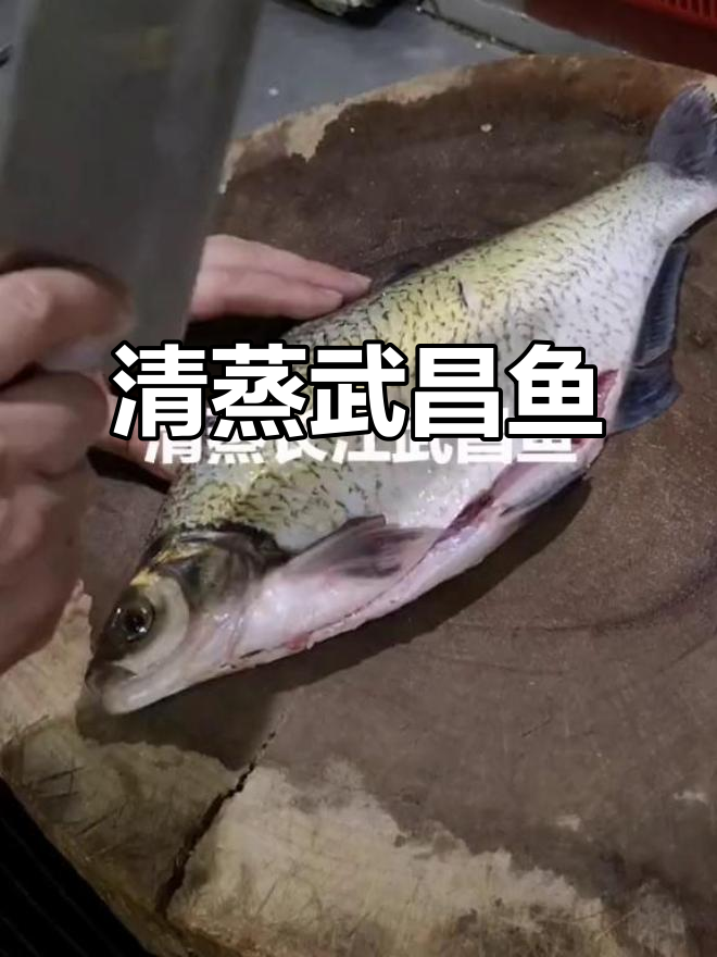 武昌鱼清蒸最佳,肉质鲜嫩,回味无穷