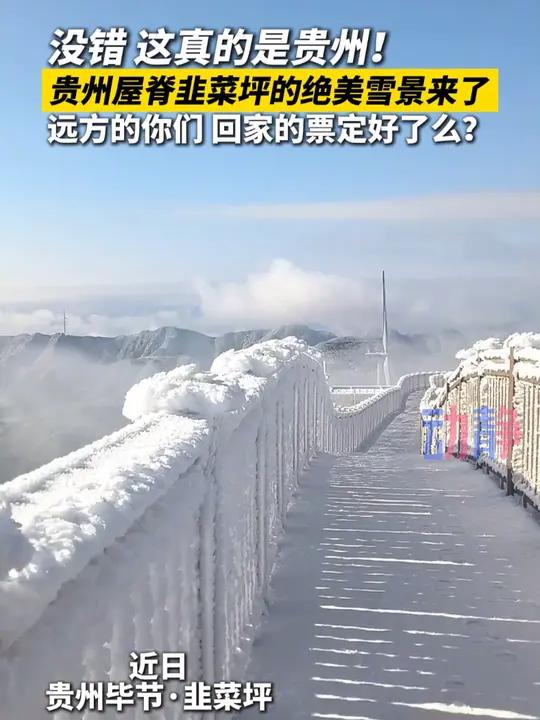 远方的你们,回家过年的票定好了么?韭菜坪来源