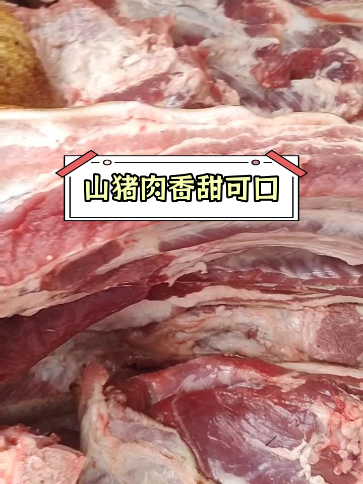 纯正山猪肉,鲜美无腥