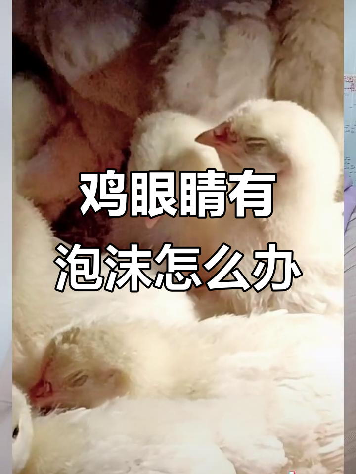 鸡眼泡沫是什么病?如何治疗支原体感染