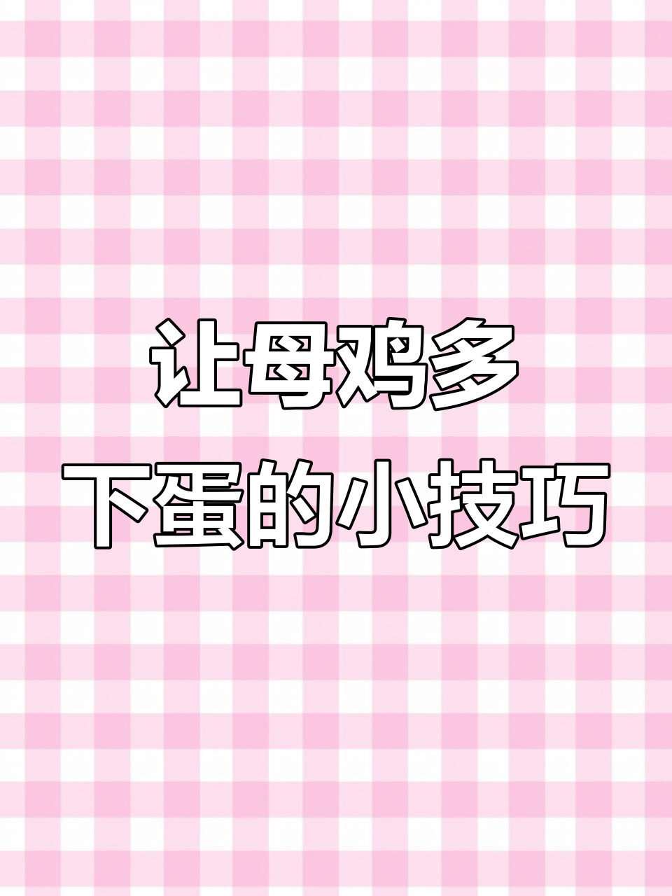 鸡不下蛋怎么办?试试这个简单小妙招,效果惊人