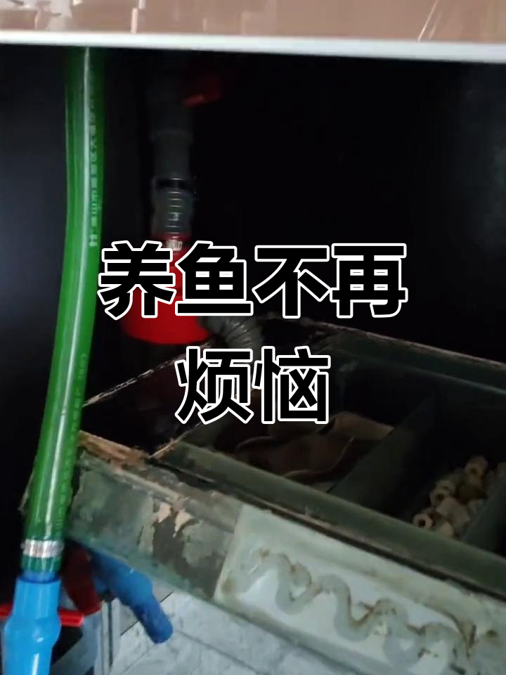 鱼缸改造大揭秘:粪便分离系统让养鱼更轻松