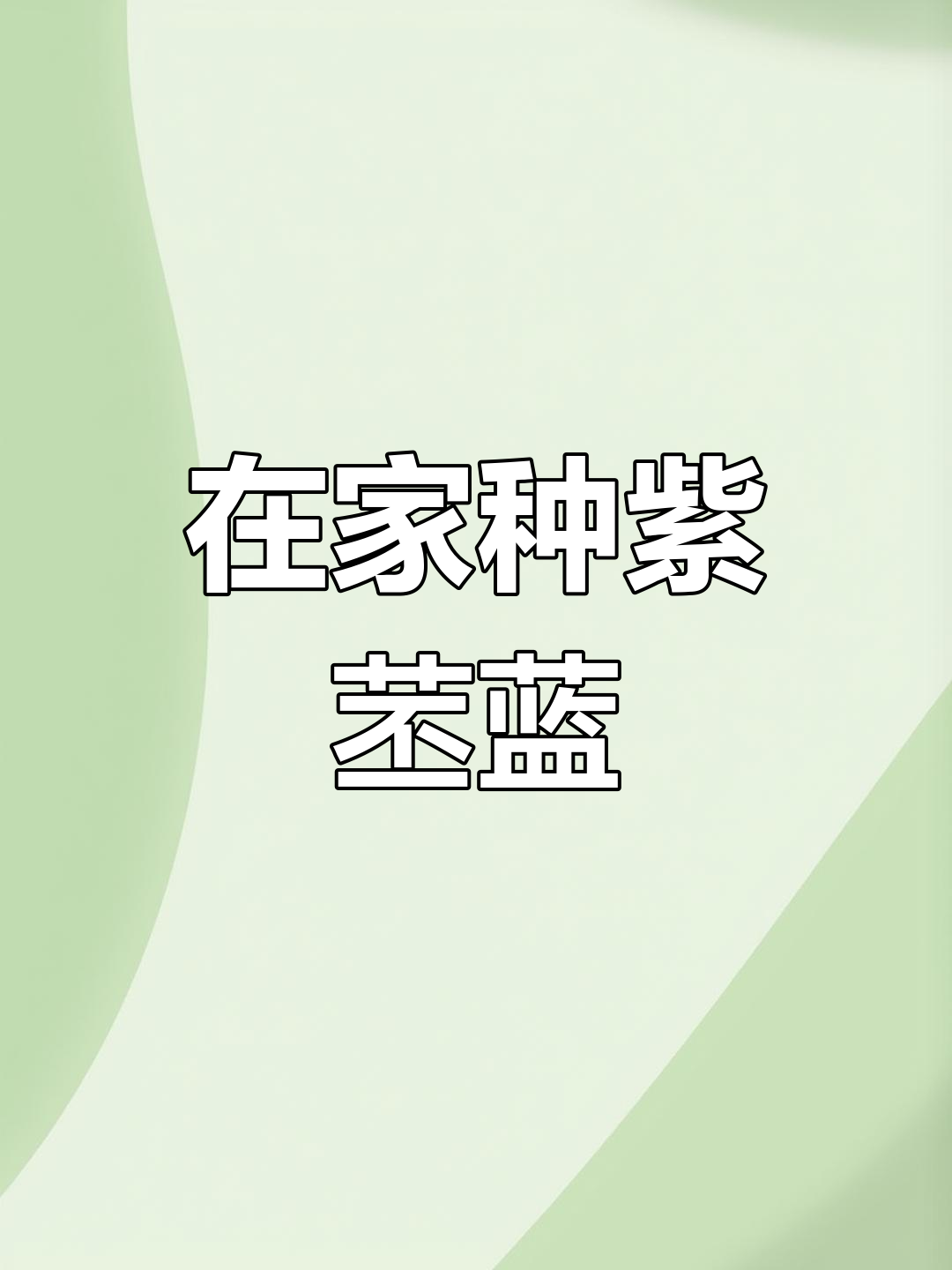 阳台种植紫苤蓝,蔬菜与水果两不误