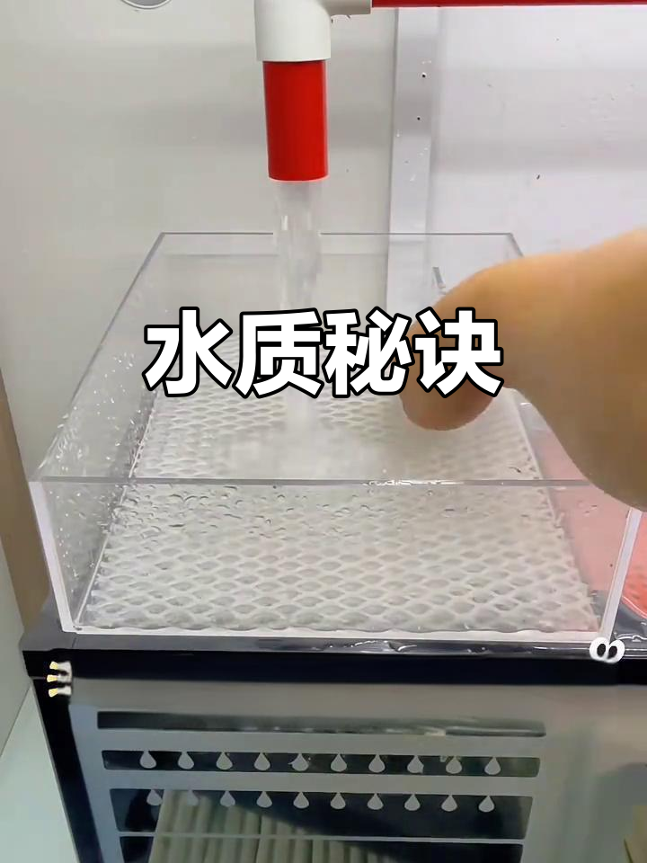 保持水质清澈,过滤棉的摆放位置至关重要