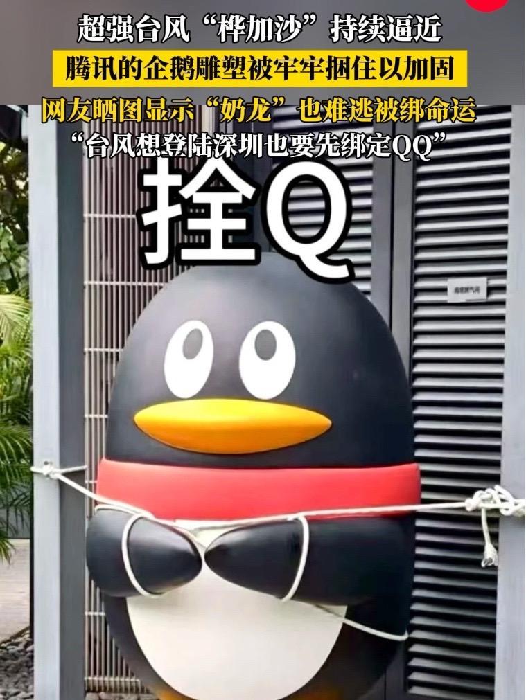 超强台风“桦加沙”持续逼近 腾讯门前的QQ企鹅雕塑被牢牢捆住 “奶龙”也难逃被绑命运 桦加