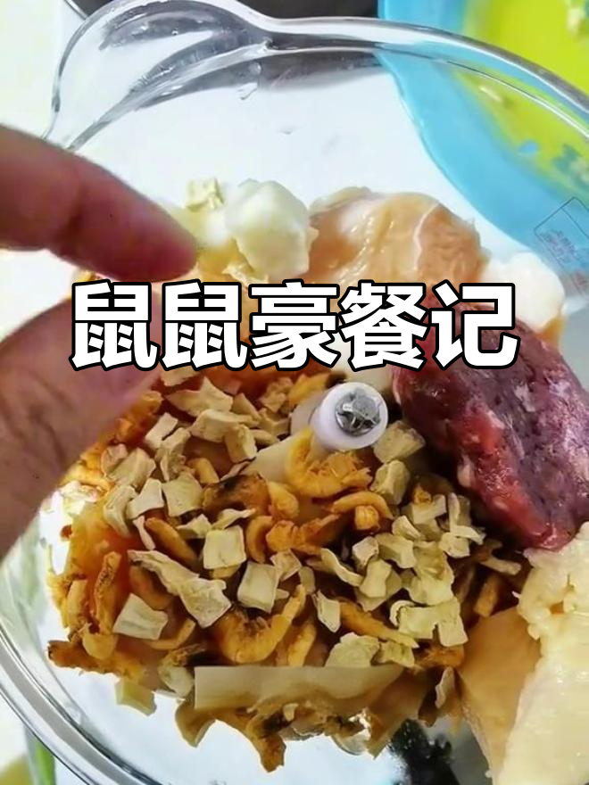 鼠鼠们的罐头盛宴,真是比我还豪华的待遇!