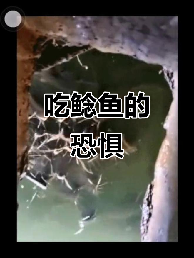 厕所里的鲶鱼,让人不敢再吃
