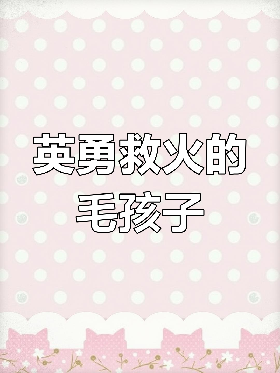 3只蓝白英短萌宠来袭,包子脸超可爱