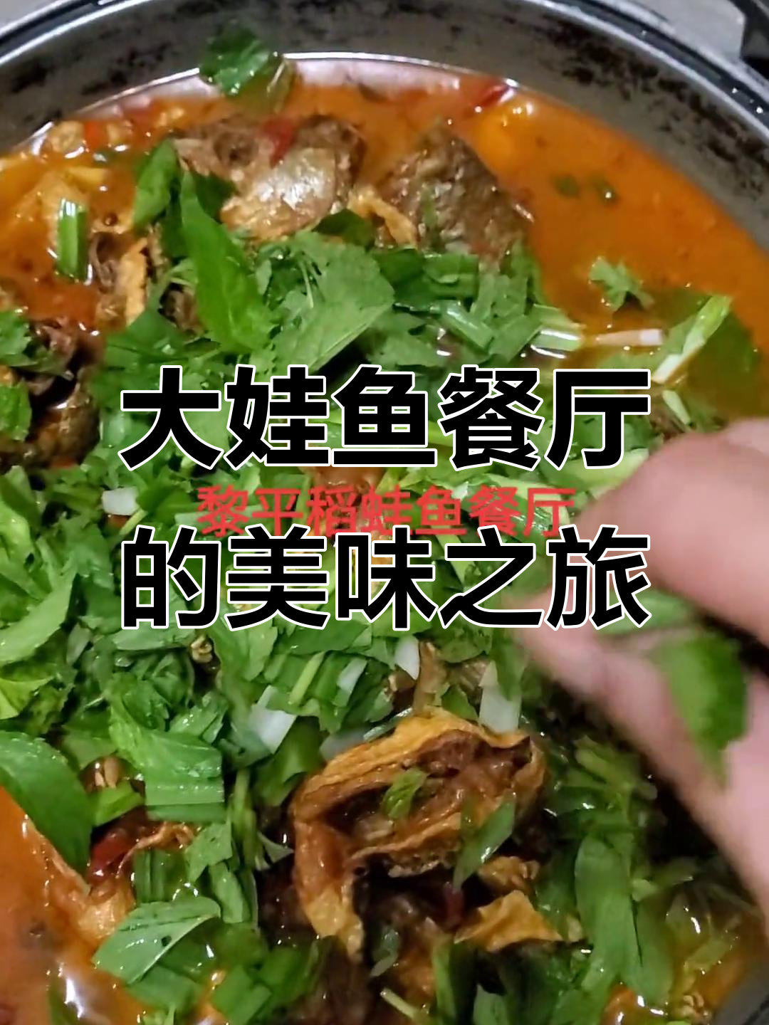 鱼蛙相恋,大娃鱼餐厅的独特美味体验
