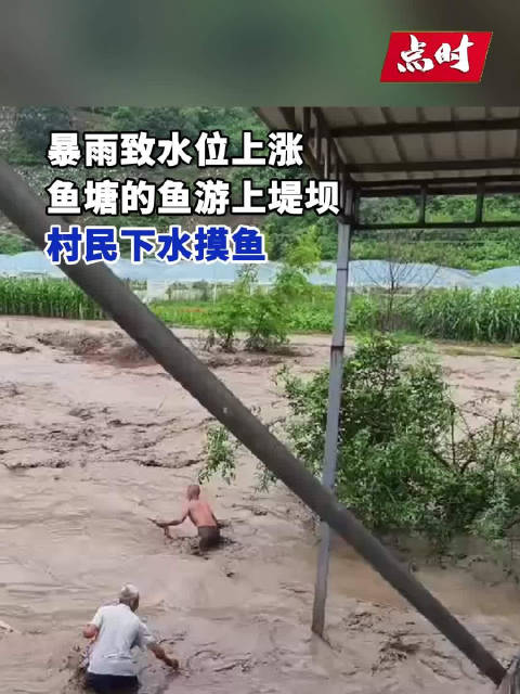 7月20日,四川攀枝花,有网友发布视频表示,因暴雨河水暴涨,村民在洪水中浑水摸鱼。据拍摄者