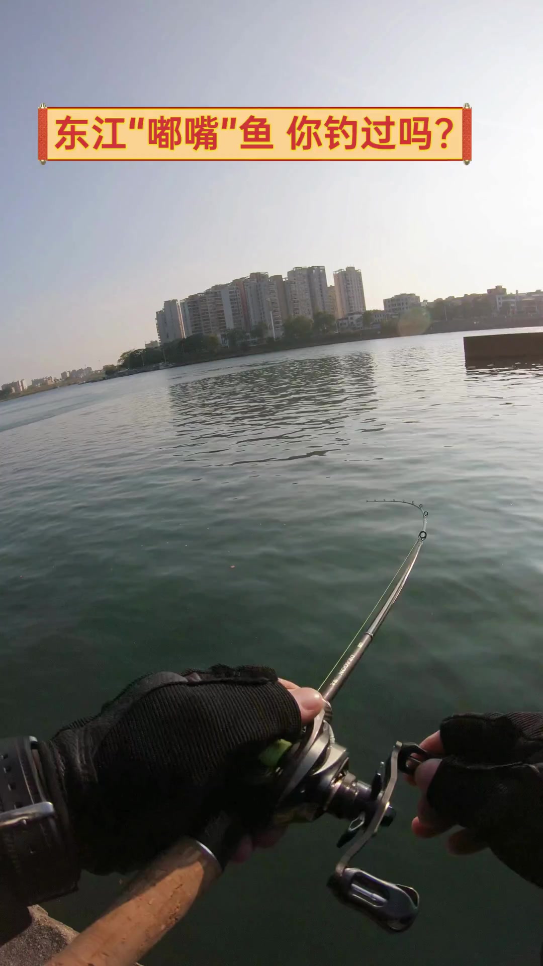 东江“嘟嘴”鱼,你钓过吗?