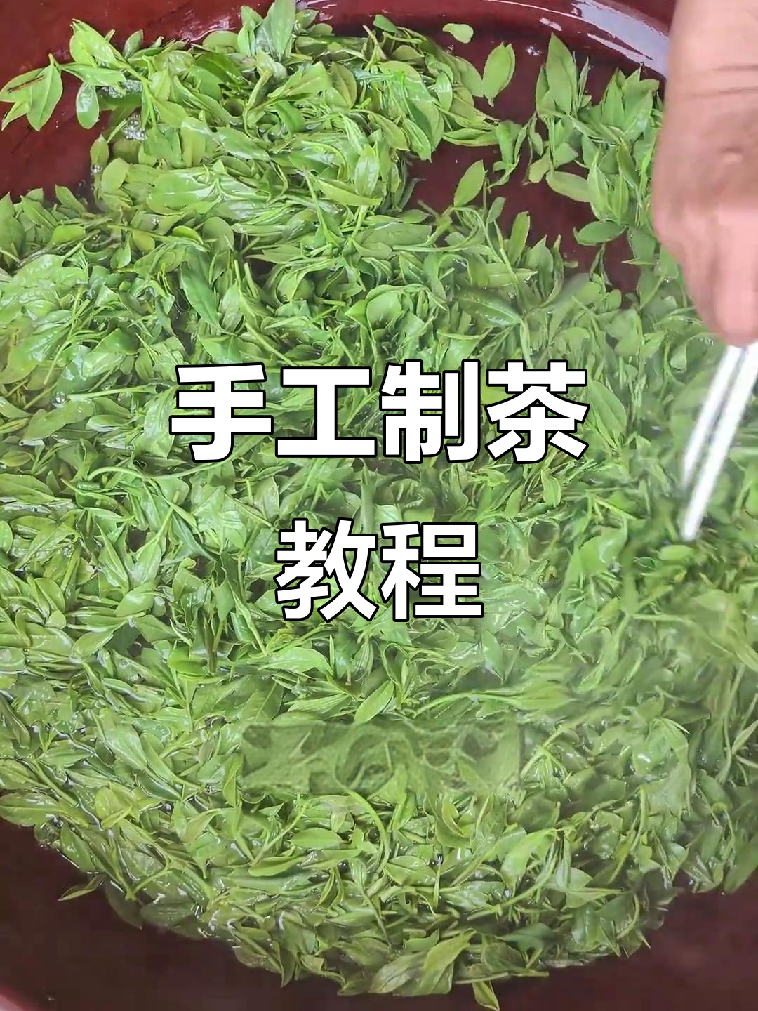 手工茶叶制作全流程,从清洗到烘烤的每一个步骤