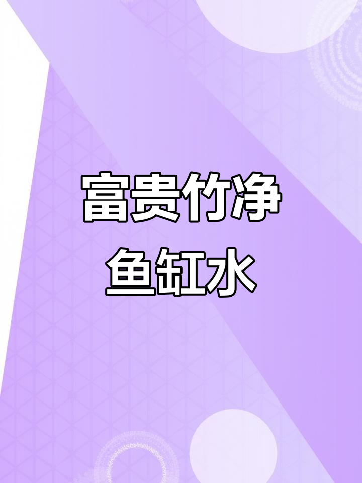 鱼缸里种富贵竹,水质净化又去味