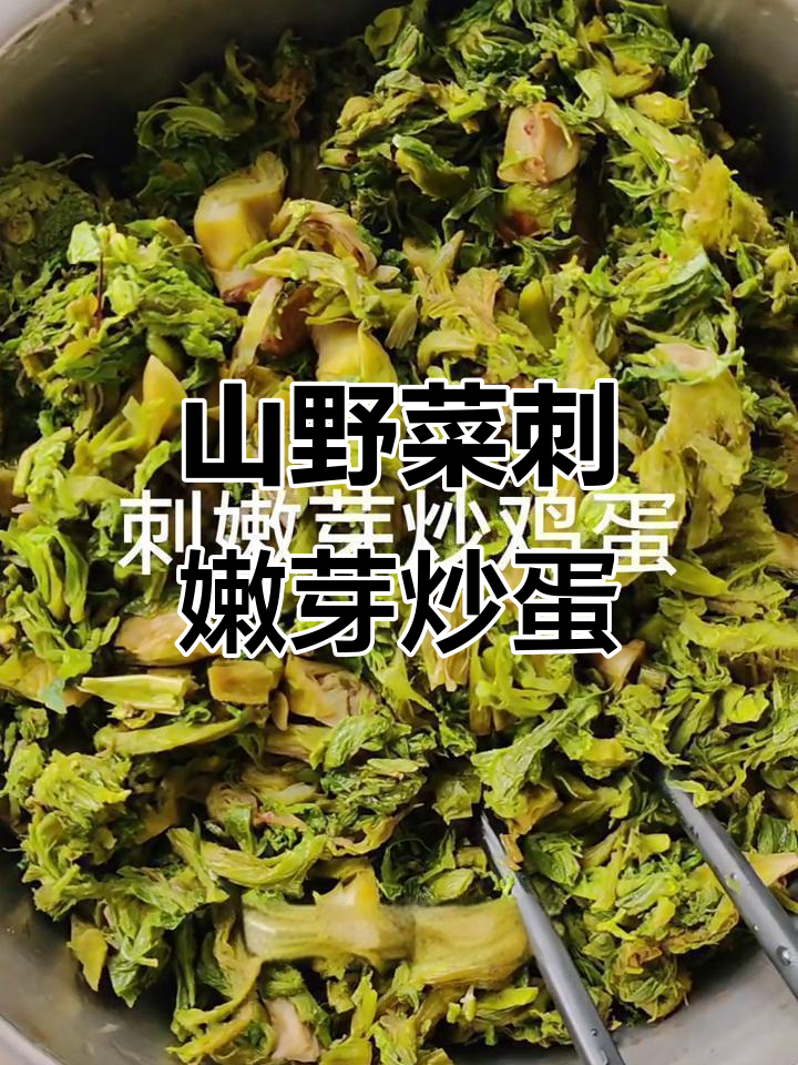 东北山野菜刺嫩芽炒鸡蛋,健康美味不容错过